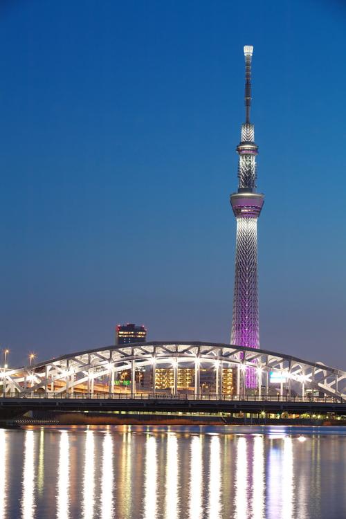 东京,天空,树,风景,夜晚,独立式,建筑,日本,世界,上方,游人,相互