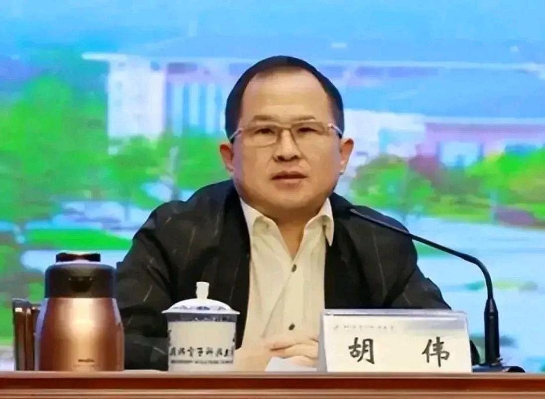 照片上的这个人是上海交通大学特聘教授胡伟.