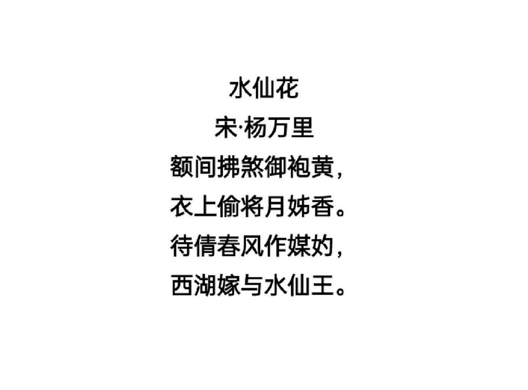 古诗中的水仙花 水仙又名中国水仙,是石蒜科多年生草本植物,在我国