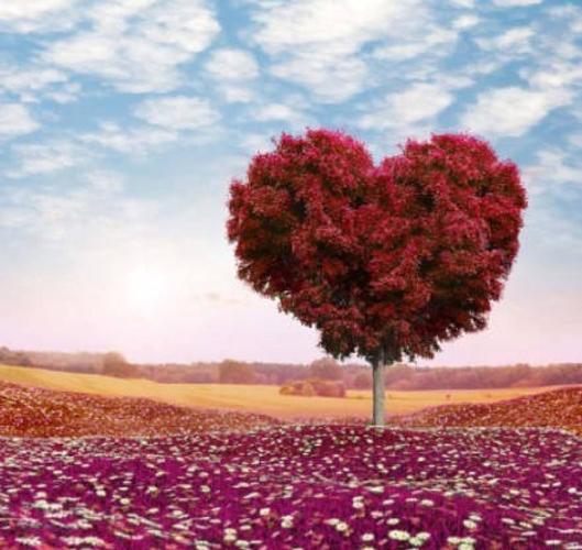 「木之语」爱心树,爱情的象征