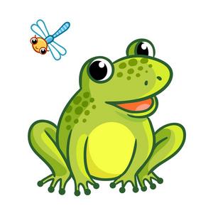 岩石和蜻蜓青蛙一只坐在白色背景上的绿色青蛙卡通哭泣绿色 frogling