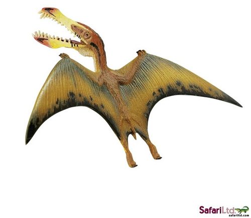 美国safari 正品小翼龙仿真恐龙静态动物模型玩具欧盟ce认证