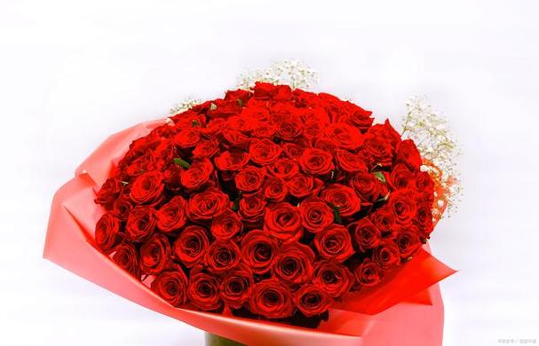 21朵红玫瑰的花语-真诚的爱