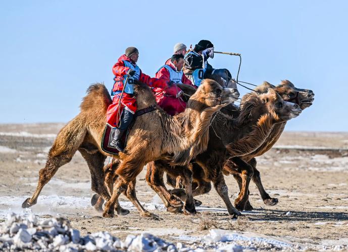 硬核内蒙古人这样玩冰雪