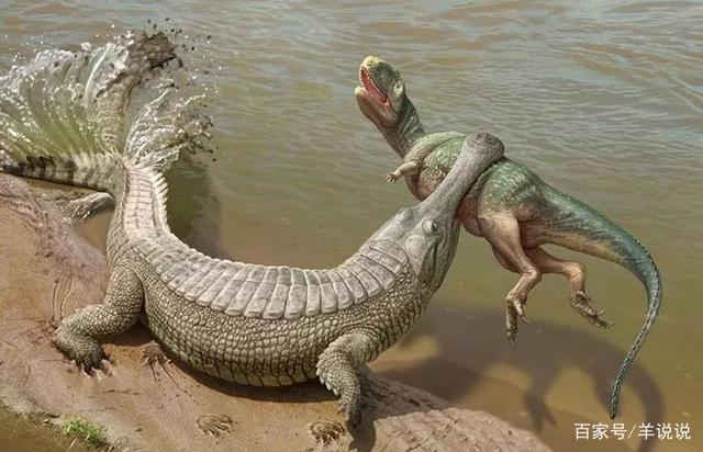 鳄鱼是目前所知道最古老最原始的生物之一,它曾经是超级远古杀手,甚至