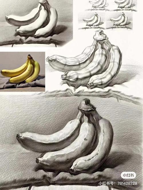 素描不同角度香蕉绘画
