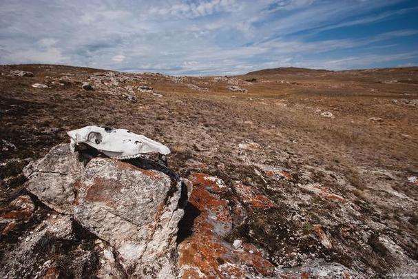 昆仑山死亡谷是中国新疆地区的一个神秘地方,被誉为"地狱之门".