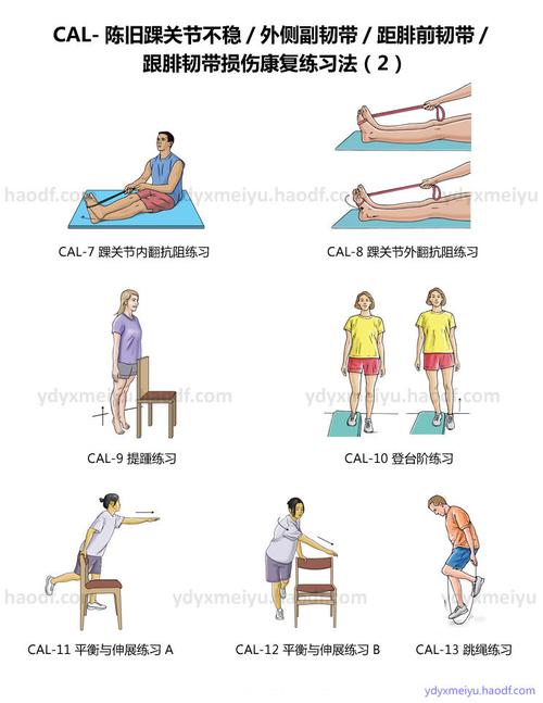 cal-陈旧踝关节不稳/外侧副韧带/距腓前韧带/跟腓韧带损伤康复.