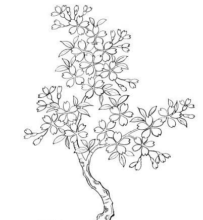 怎么画樱花树的轮廓