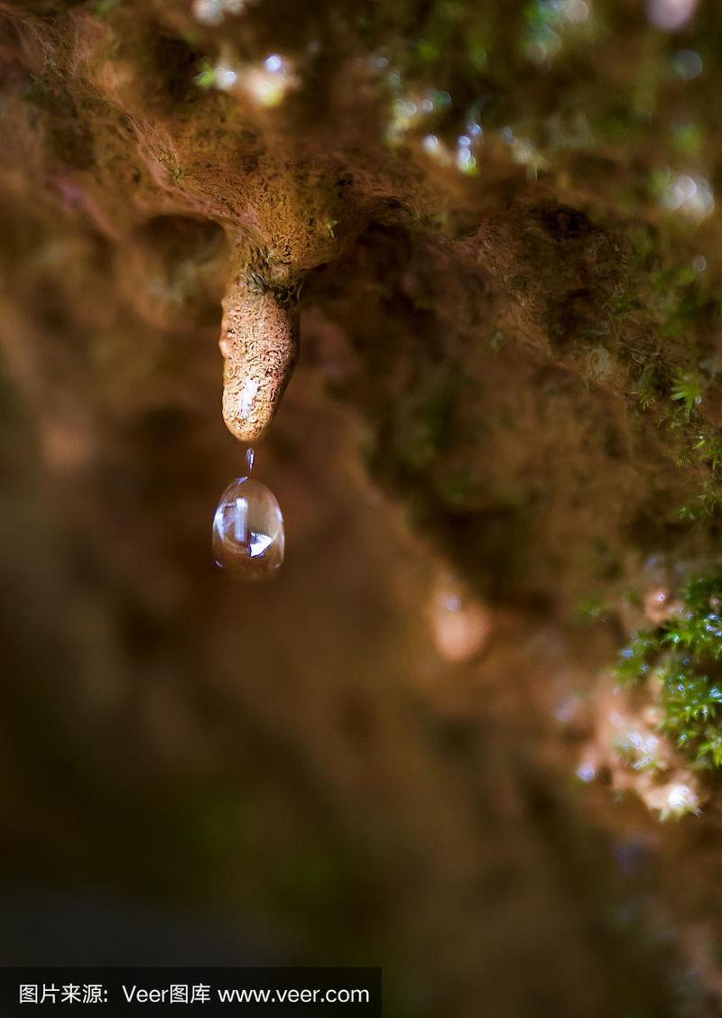 水滴从潮湿的洞穴钟乳石滑落