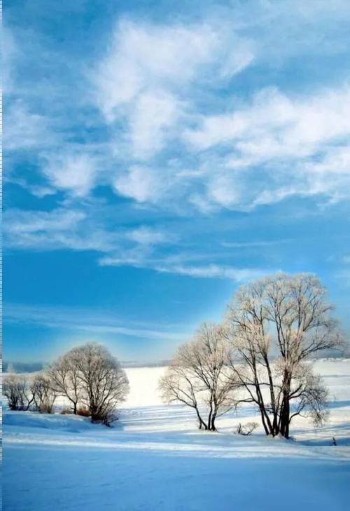 诗词赏析 | 刷爆朋友圈的中国雪景图最美的竟然是在这几个字里?