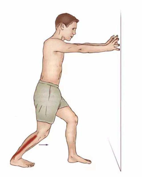 拉伸或者振动泡沫轴放松腓肠肌(小腿三头肌浅层的肌肉):持续15-30秒,2
