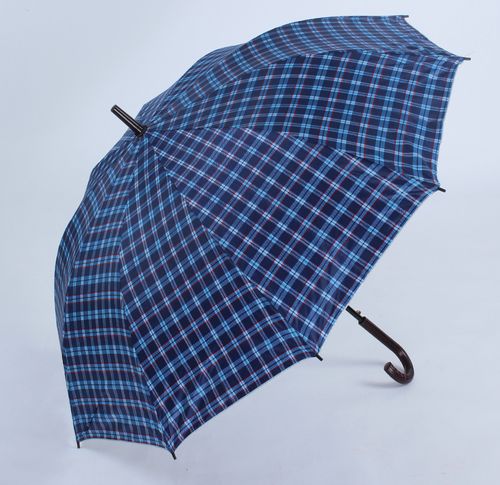 10骨格子伞 银胶图层 厂家直销高档晴雨伞 大量批发广告伞