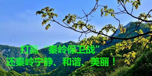 【引镇街道枣园小学】——"保护秦岭生态环境,从我做起"倡议书
