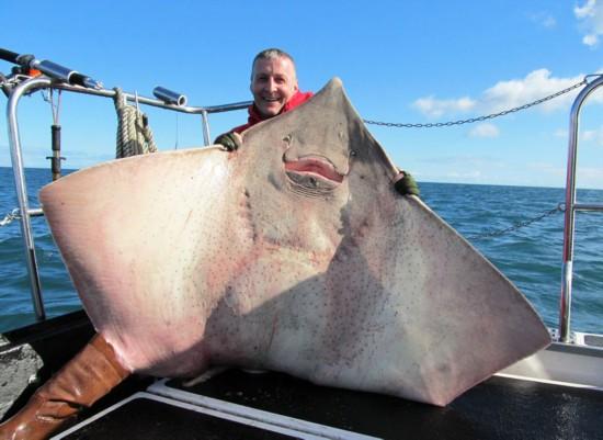 巨型鳐鱼重达101公斤 与渔民合影"微笑"