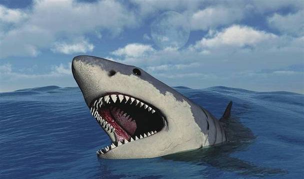 "海洋霸主"巨齿鲨为何灭绝?这可能与它们的体温有关
