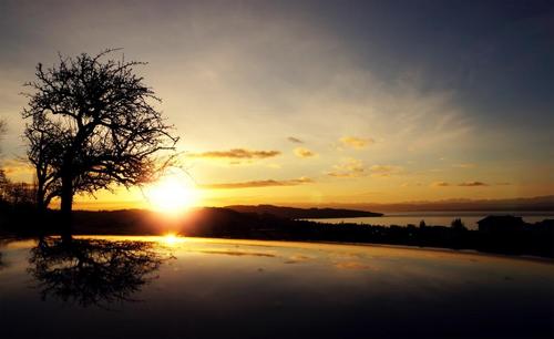 sunrise,tree,black,silhouette,reflection,yellow,blue