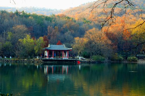 《南京紫霞湖》摄于2017年1-驴眼看世界