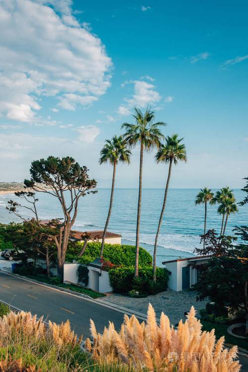 加利福尼亚州马里布海滩沿岸的棕榈树和房屋