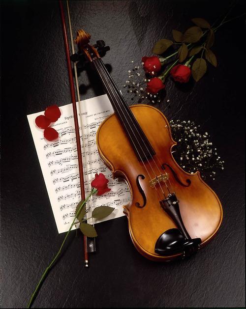 提琴知识怎样检查你的小提琴