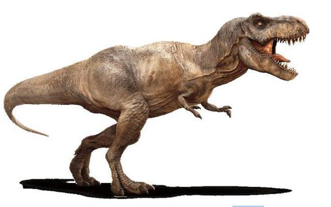 霸王龙是暴龙科中体型最大的一种,它称得上是食肉恐龙进化的巅峰,拥有