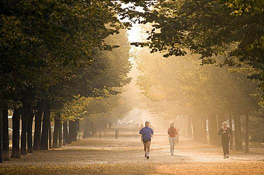 慢跑者,树林,小路,秋天,早晨,巴黎,法国