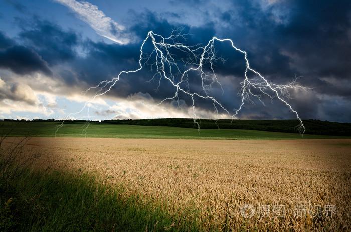 雷雨闪电在小麦的土地