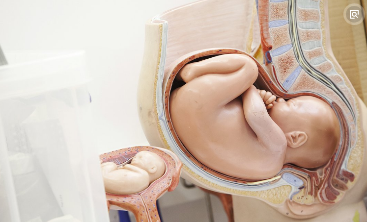 怀孕七个月,孕妇尽量留意好这些问题,可能对胎儿发育比较关键!