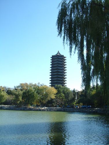 【北大摄影图片】北京 北京大学风光摄影_樟树视线_太平洋电脑网摄影