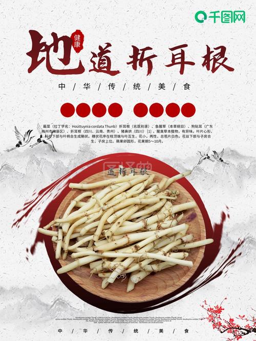 中国风简约折耳根美食宣传海报