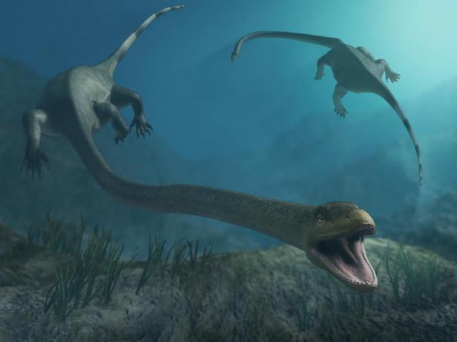  p>长颈龙(tanystropheus)是种生存于三叠纪中期的爬行动物,身长约6米