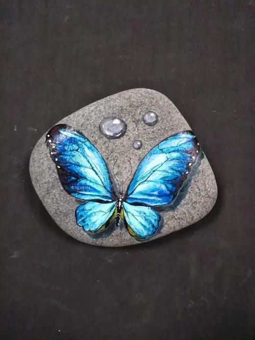 分享一个蝴蝶石头画教程
