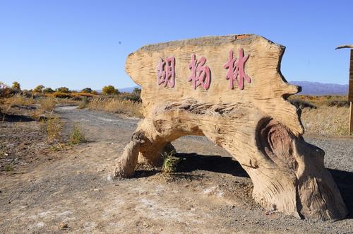 木垒胡杨林位于昌吉州木垒鸣沙山北30公里处