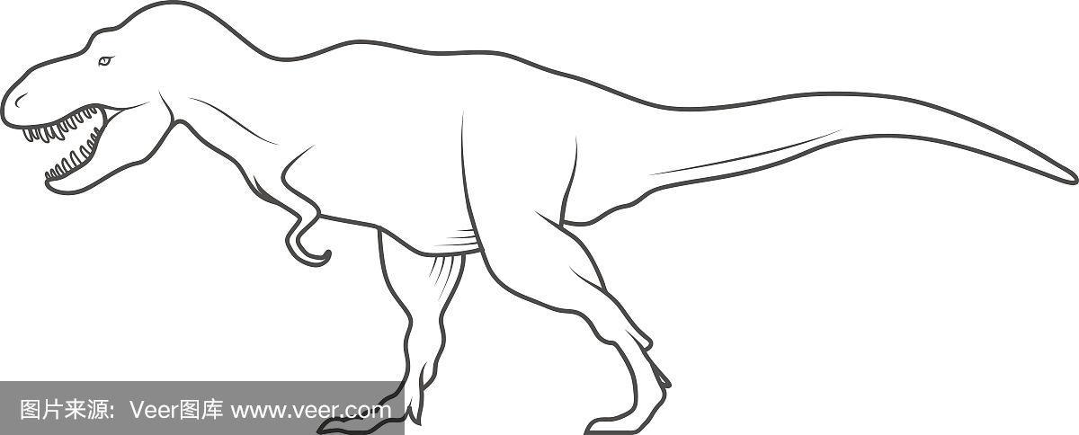 恐龙,绘画插图,矢量,白色背景,三角龙