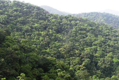云南哀牢山森林生态系统国家野外科学观测研究站