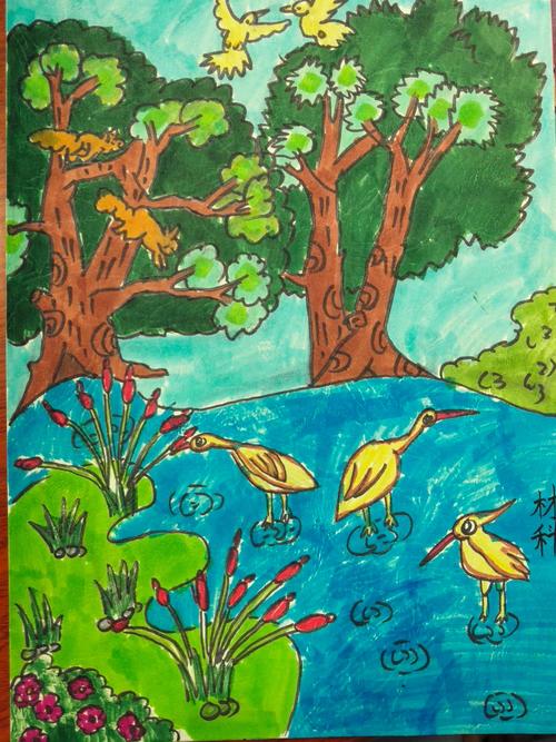 我把湿地画进明信片——海口市琼山第三小学湿地进校园活动