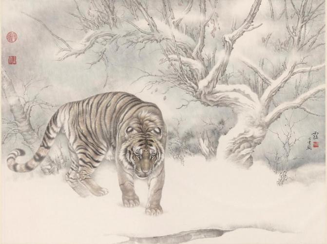 【引用】田书翰工笔动物画 —虎