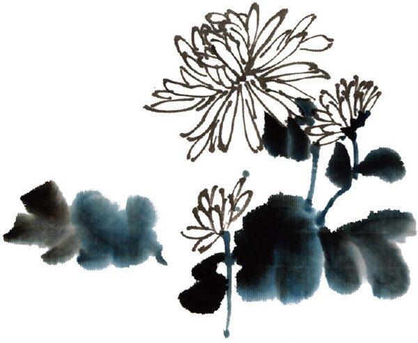 水墨菊花的绘画步骤(2)