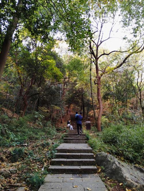 很多杭州本地人可能都不知道的亲子爬山线路