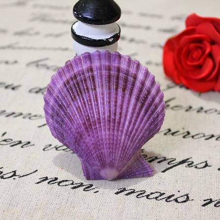 于是王子带上紫色贝壳,踏上寻找爱人之旅.
