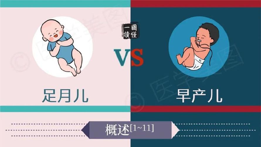 一图读懂丨足月儿 vs 早产儿
