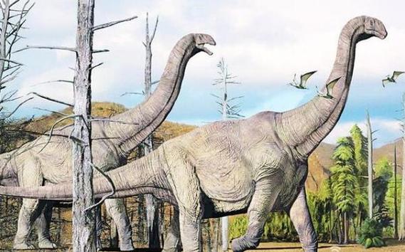 马拉圭龙阿根廷超巨型恐龙长25米距今8900万年前