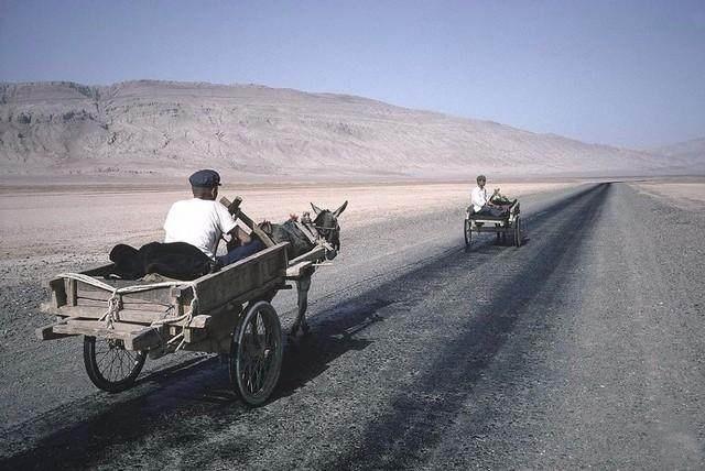 1972年的民生百态:使用驴子车出行的人们