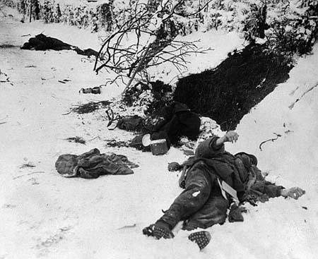图文:被击毙的德军尸体