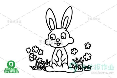 雪兔子植物简笔画