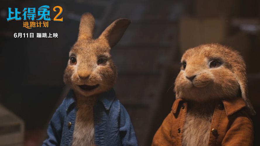 电影《比得兔2:逃跑计划》讲述了叛逆的"兔界一哥"比得和 萌兔天团