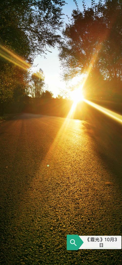 金色的阳光洒在乡村路上,净月潭二环路跑步的好地方.