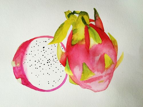 水果水彩画图集