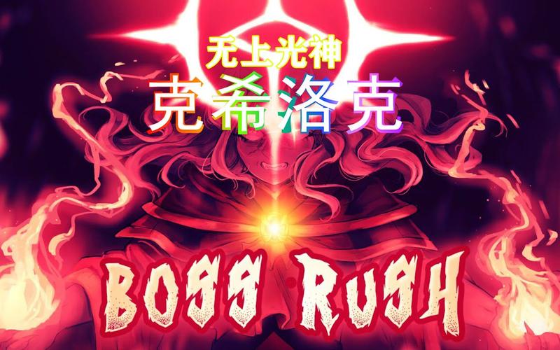 9新版炼狱模式 boss rush 全boss战演示【泰拉瑞亚:灾厄mod】[视频