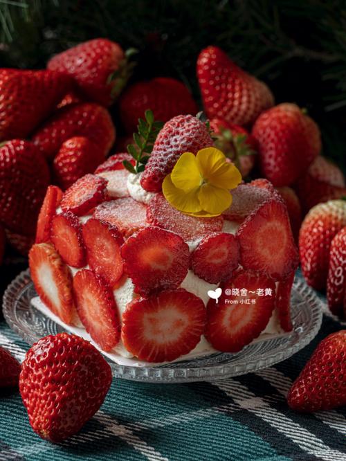 草莓多多蛋糕来实现你的草莓自由